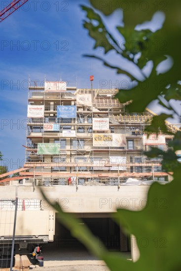 Scaffolding around a multi-storey building surrounded by plants, carpentry, new building, Stuttgart, Germany