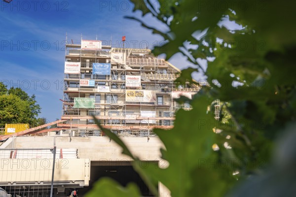 Multi-storey building under construction with scaffolding and plants in the foreground, carpentry, new building, Stuttgart, Germany