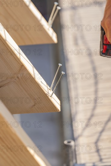 Detailed view of screws screwed into a wooden board, carpentry, new building, Stuttgart, Germany