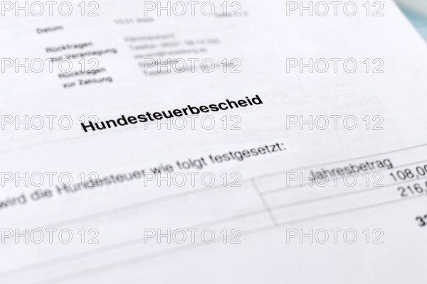German tax notice document with the word Hundesteuerbescheid (translation: dog tax assessment notice) in focus. Municipal dog ownership tax requirement in Germany