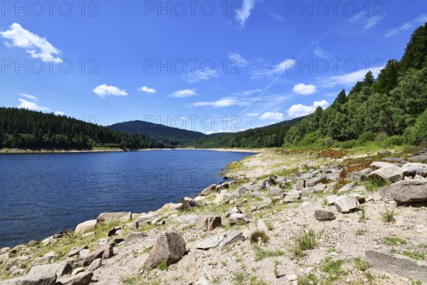 Beautiful mountain lake in the Black Forest in Forbach in Germany called Schwarzenbach Reservoir surrounded by forested hills under a clear sky