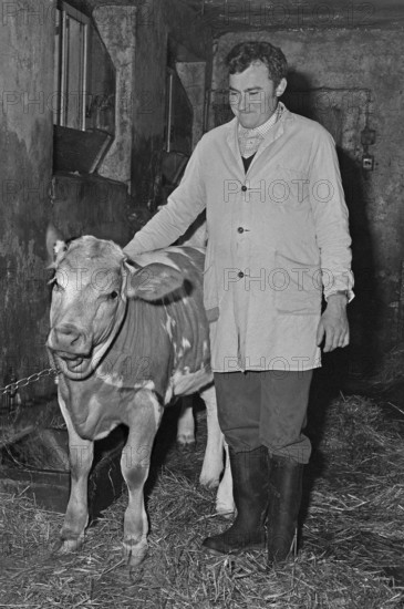 Farmer with a calf in a cowshed, on a former Franconian farm, black and white, Bavaria, Germany