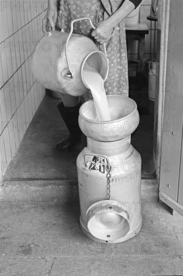 Freshly milked milk passes through a filter into a large milk can, on a former Franconian farm, black and white, Bavaria, Germany
