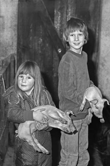 Little girl and boy with a piglet in their arms, in stable, on a former Franconian farm, black and white, Bavaria, Germany