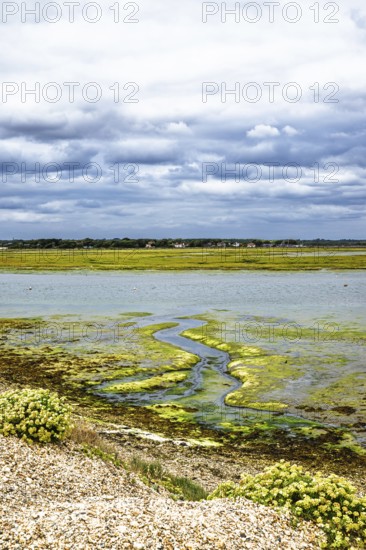 Marshes over Hurst Spit, Milford on Sea, Lymington, Hampshire, UK