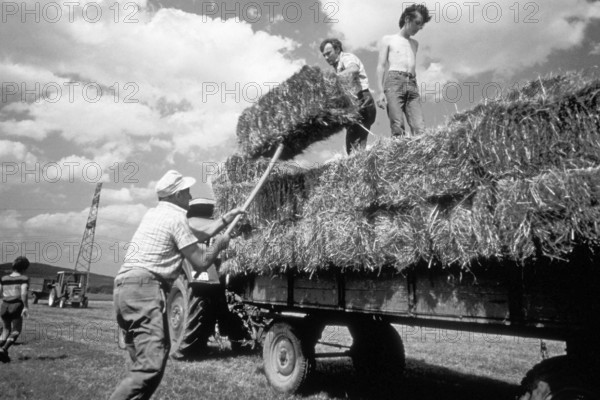 Farmer and assistant loading hay onto a trailer, former Franconian farm, black and white, Bavaria, Germany