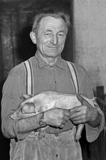 Farmer holding a piglet in a cowshed, on a former Franconian farm, black and white, Bavaria, Germany