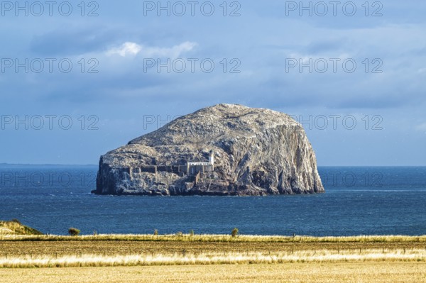 Bass Rock Island and Lighthouse, Scotland's Firth of Forth, Scotland, UK