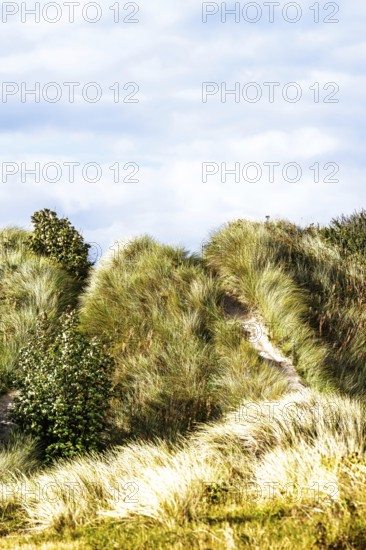 Dunes over Bamburgh Castle, Northumberland, Northeast Coast, England, UK