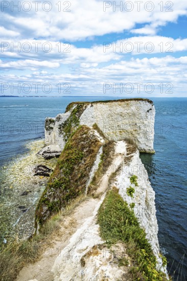White Cliffs of Old Harry Rocks Jurassic Coast, Handfast Point, Dorset, UK