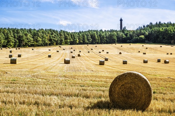 Straw bales in the Scottish fields, Southeast Scotland, UK