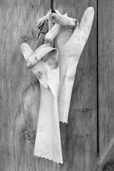 Old rubber gloves on a stable door on a former farm, black and white, Middle Franconia, Bavaria, Germany