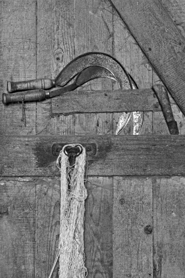 Sickles at the stable door, on a former Franconian farm, black and white, Franconian farm, Bavaria, Germany