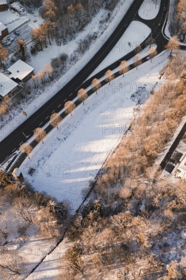 Snowy landscape with a winding road and trees casting long shadows, Nagold, Calw district, Black Forest, Germany