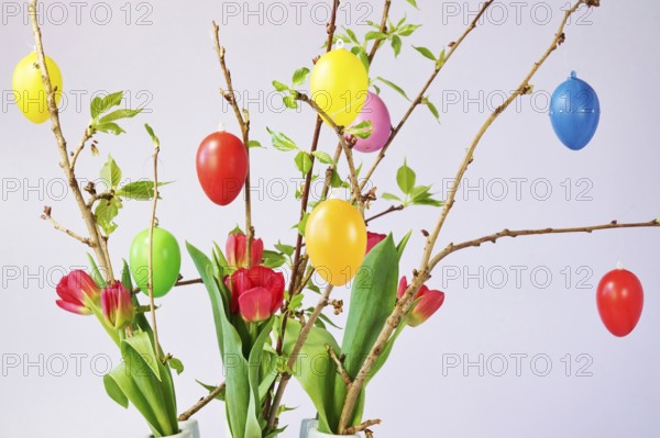 Still life with Easter eggs on branches, Germany