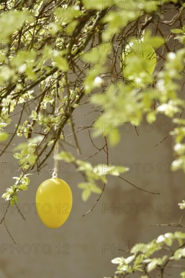 Still life with Easter egg, Germany