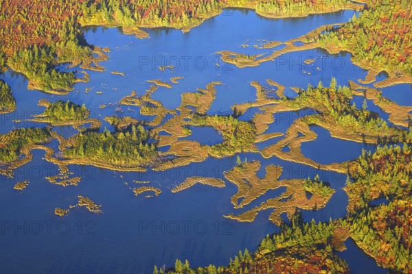 Aerial view of the taiga and lakes in autumn on the Yamal Peninsula, Yamalo-Nenets Autonomous Okrug, Russia, Asia