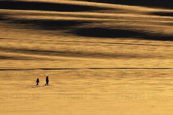 At sunset, a father and son move with their traditional skis in the Altai Mountains, in Altay Prefecture, Xinjiang Uygur Autonomous Region, China, Asia