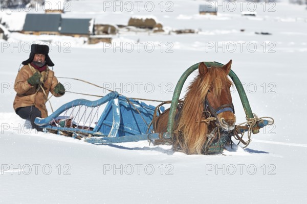 In deep snow, a man moves with his horse-drawn sled in the Altai Mountains, Altay Prefecture, Xinjiang Uygur Autonomous Region, China, Asia