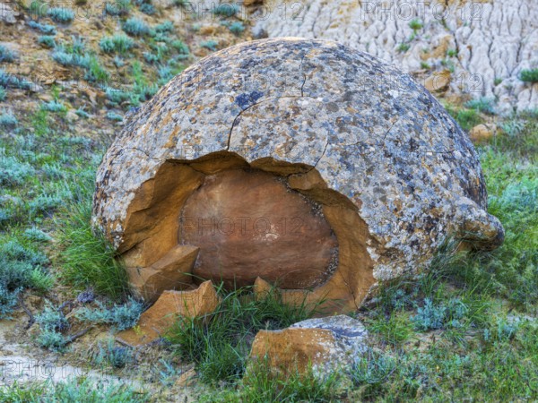The large spherolites (concretions) at Torysh, with over 500–600 spheres of various sizes covering approximately 2–3 km² of terrain in the Valley of Balls, Mangystau region, Kazakhstan, Central Asia