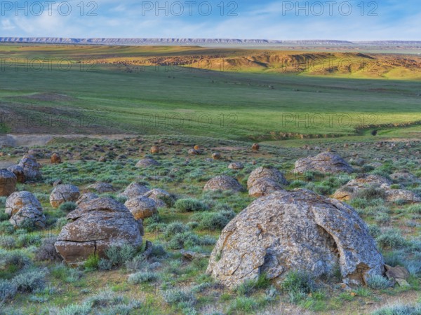 The large spherolites (concretions) at Torysh, with over 500–600 spheres of various sizes covering approximately 2–3 km² of terrain in the Valley of Balls, Mangystau region, Kazakhstan, Central Asia