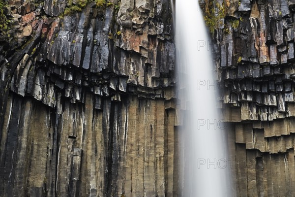 Basalt columns at Svartifoss waterfall, located in the Skaftafell, Vatnajökull National Park, Iceland