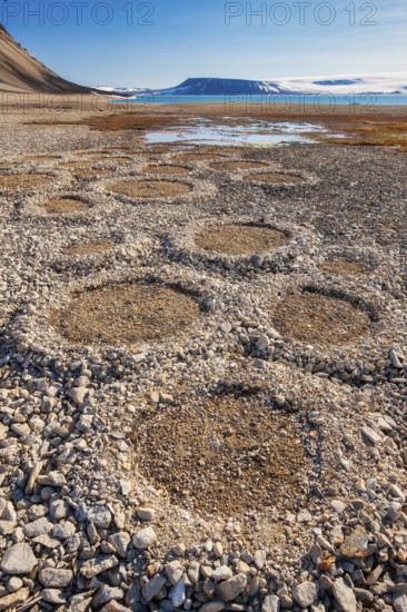 Natural geological formations shaped by cryoturbation (frost churning) in the Arctic desert, Nordaustlandet, Palanderbukta (Palander Bay), Zeipelodden, Svalbard, Norway