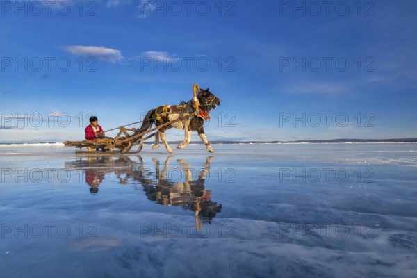 A local resident from northern Mongolia crosses Khuvsgul Lake, which is icy on slits drawn by a horse, in winter, Khuvsgul province, Mongolia