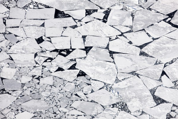 Melting icepack, East Greenland (Kalaallit Nunaat), Arctic Ocean, geographically part of North America, politically part of the Kingdom of Denmark