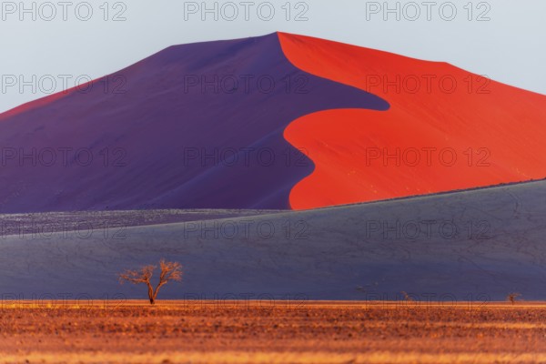 Sand dune, Soussusvlei, Namib desert, Namibia