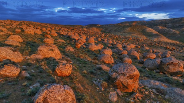 Sunset at Torysh Valley, the Valley of Balls, with thousands of natural spherical rock formations (concretions) scattered across the steppe, Mangystau Region, near Shetpe, Kazakhstan, Asia