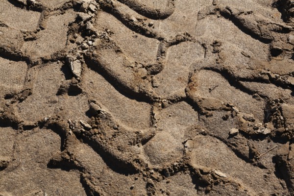 Close-up and top view of deep tire tracks made by earth loader in light brown sand at construction site, Quebec, Canada