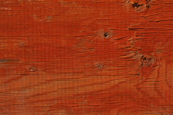 Close-up of orange painted plywood surface with deep grain and knots, Quebec, Canada