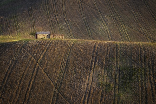 Farmhouse in the Marche hills, surrounded by plowed fields, not far from the town of Corridonia, Macerata Province, Marche, Italy