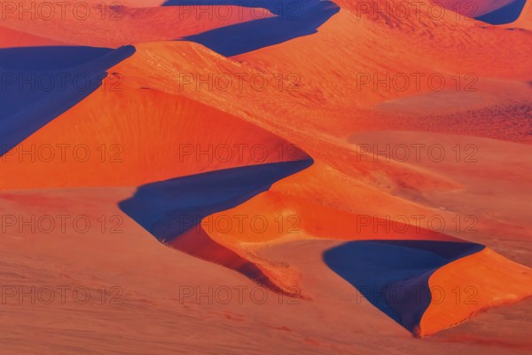 Aerial view sand dunes, Soussusvlei, Namib desert, Namibia