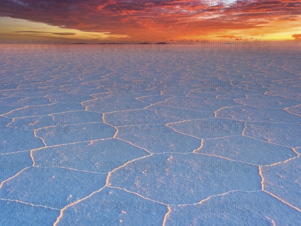 Salar de Uyuni, salt polygons at sunset on the world's largest salt flat, 3, 656?m above sea level, Potosí, Bolivia, South America