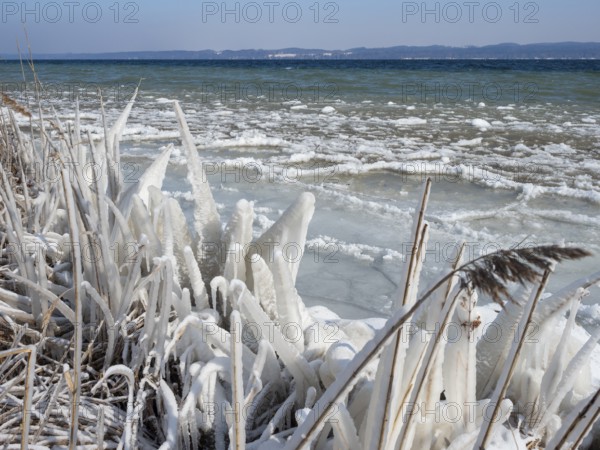 Eis am Starnberger See near Bernried, pancake ice cream, Fünfseenland, Upper Bavaria, Germany