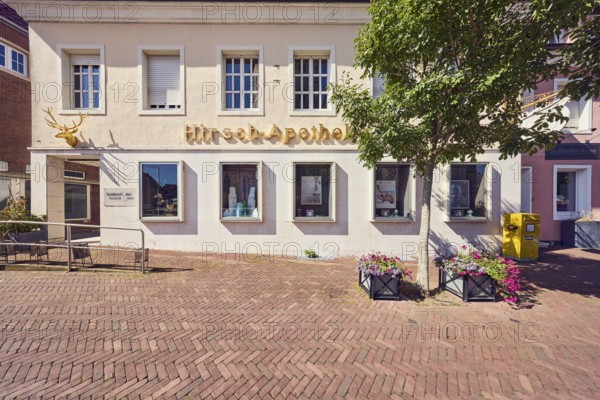 Deer-Apotheke, historic pharmacy, Seidensticker cosmetics studio, building, general architecture, façade with windows and shop windows, entrance area, ramp, brick walkway, flower pot, tree, sunny, Mühlenstraße, Borken, Münsterland, Borken district, North Rhine-Westphalia, Germany