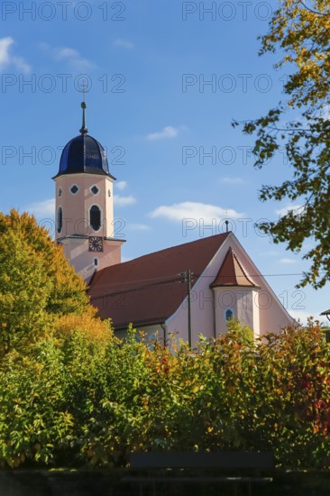 Roman Catholic parish church of St. Martin, baroque hall church from 1717—19, design by Franz Beer, religious building, church church, church tower, bell dome, trees with autumn colors, colorful leaves, blue sky, clouds, high plateau above the Albtrauf, Großengstingen, municipality of Engstingen, district of Reutlingen, Swabian Alb, Baden-Württemberg, Germany