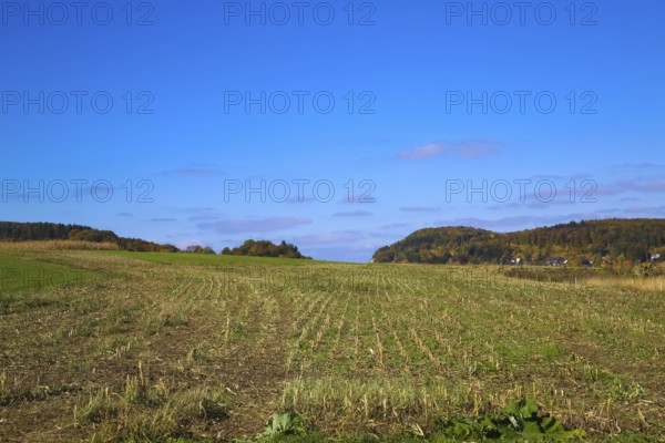 Field, harvested field, agricultural land, green areas, mountains, view of hills, blue sky, alpine plateau above Albtrauf, Großengstingen, municipality of Engstingen, Swabian Alb, Reutlingen district, Baden-Württemberg, Germany