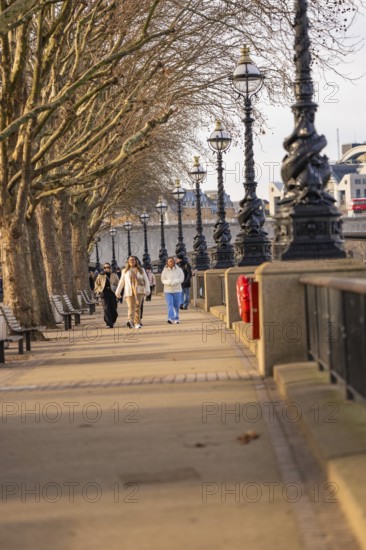 People walking along a tree-lined walkway with street lights, London, England, United Kingdom