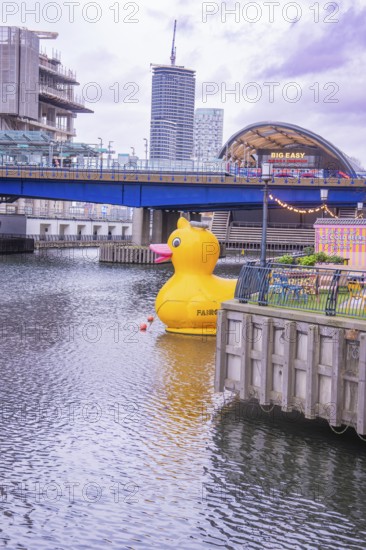 A big yellow rubber duck swims in water near a bridge in the city, London, England, Great Britain