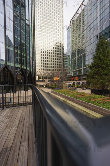 Modern, tall buildings with glass facades in an urban environment with trees, London, England, Great Britain