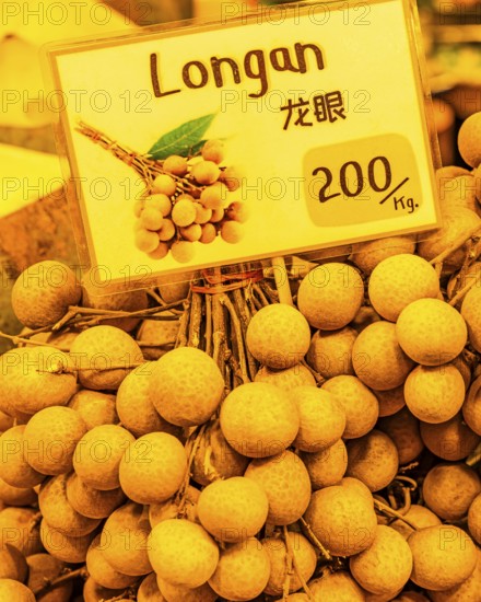 Longan fruit, dragon's eye, silk tree plant (Dimocarpus longan), Iconsiam shopping centre, Bangkok, Thailand's metropolis, Thailand