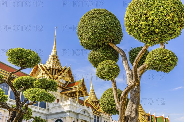 The Grand Royal Palace, trees with spherical branches, in the back the Chakri Maha Prasad throne hall, Phra Nakhon, Bangkok, Thailand's metropolis, Thailand
