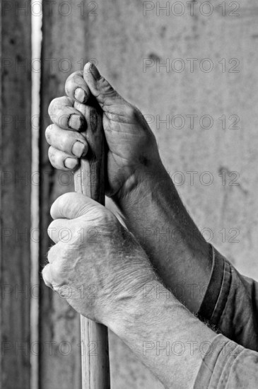 Worked hands of a farmer, black and white, Middle Franconia, Bavaria, Germany