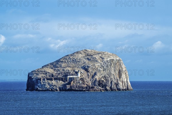 Bass Rock Island and Lighthouse, Scotland's Firth of Forth, Scotland, UK