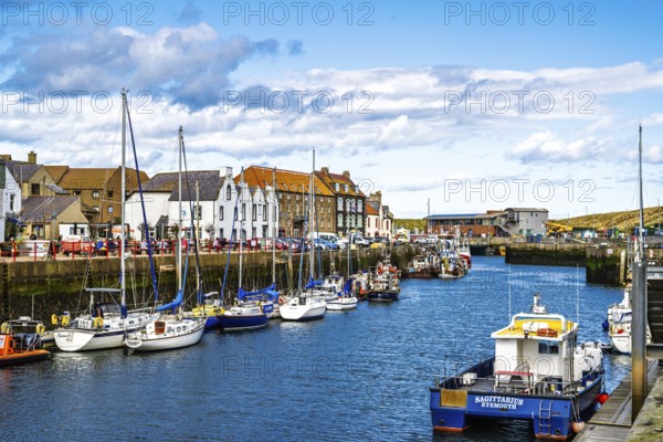 Eyemouth, Berwickshire, Scottish Borders, Scotland, UK