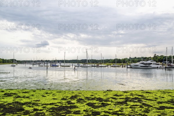 Swanwick Marina, River Hamble, Swanwick, Southampton, Hampshire, UK