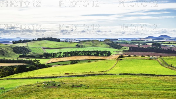 Scottish fields and farms, Southeast Scotland, UK